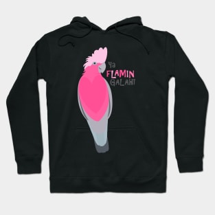 Ya flamin galah! Hoodie